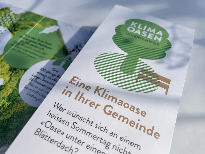 Faltblatt zum Projekt