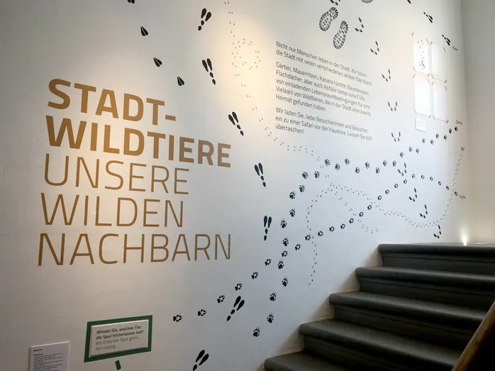 Wand aus der Ausstellung Stadtwildtiere mit grossem Titel und Tierspuren